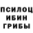 Галлюциногенные грибы Magic Shrooms Liza Sagaidak