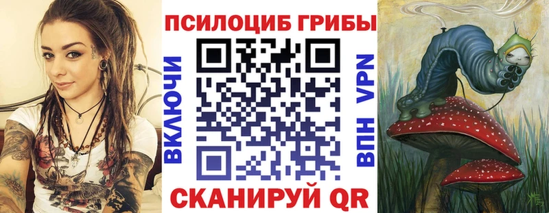 MEGA   Вышний Волочёк  Галлюциногенные грибы мицелий 